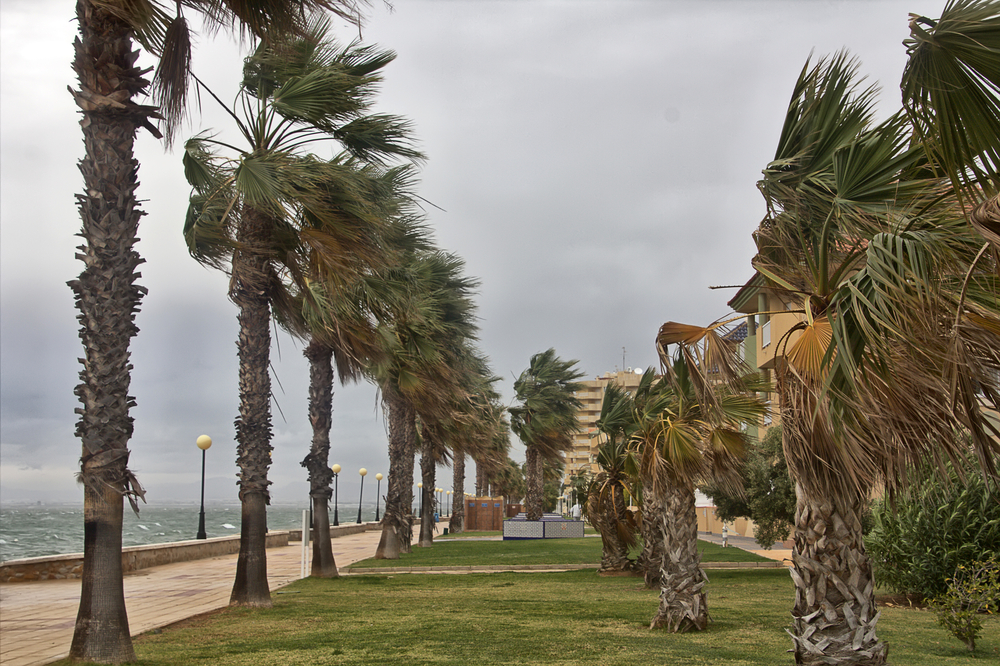 Preparing Your Solar Panels For Hurricane Season